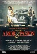 五月婷婷综合激情