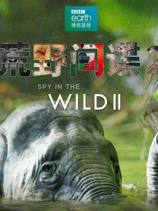 荒野间谍2中文版