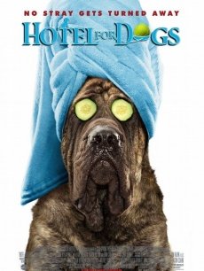 五月丁香视频在线观看