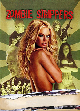 最惊艳的荷兰大片