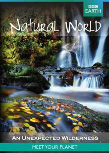 五个扑水的少年2021