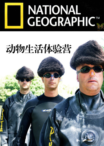 动物生活体验营